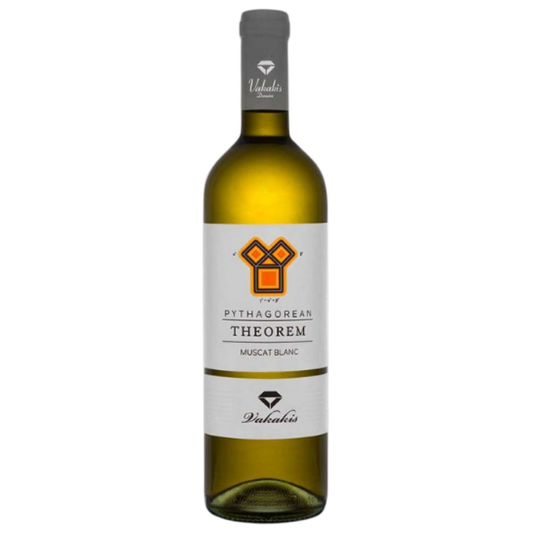 Vakakis Theorem White 2024