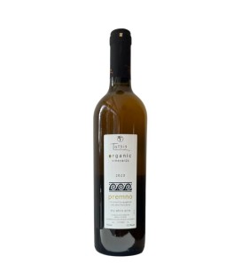 Tatsis Premno White 2022